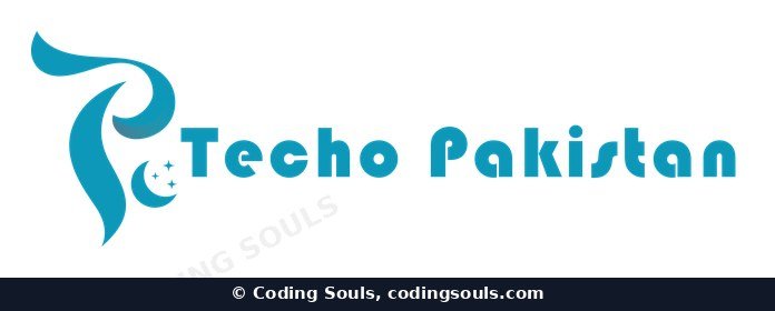 Techo Pakistan logo design by Coding Souls